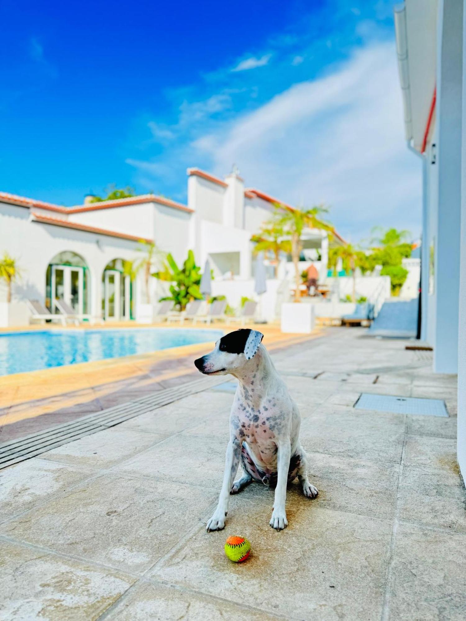 Solar Dos Frades Hotel เฟอเฮรา โด อเลนเตโจ ภายนอก รูปภาพ